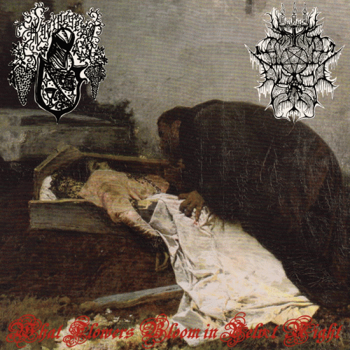 Kneipegeist : What Flowers Bloom in Velvet Night